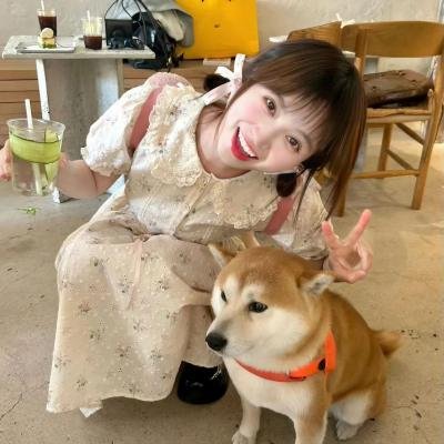 我们恋爱吧第五季